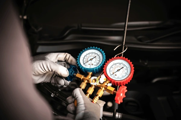 Inspection/Diagnosis Inspection/Diagnosis